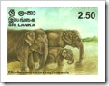 Ceylon Stamp On Asian Elephant